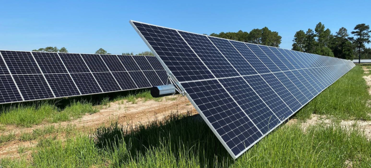 A row of solar panels tilted towards the sun, surrounded by lush green grass under a clear blue sky.