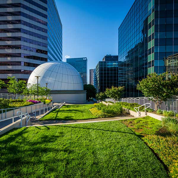 A green rooftop garden featuring a white dome structure. Surrounded by tall glass buildings and vibrant flower beds.