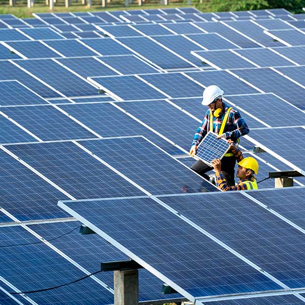 Two workers install solar panels on a large solar farm, surrounded by numerous photovoltaic panels under bright sunlight.