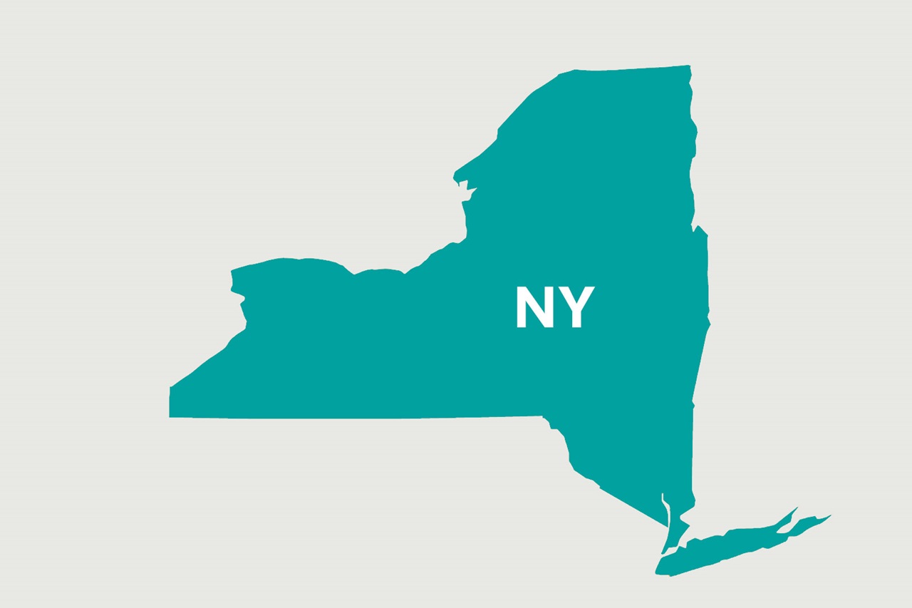 The outline of New York state in teal, featuring the letters 'NY' prominently in the centre.