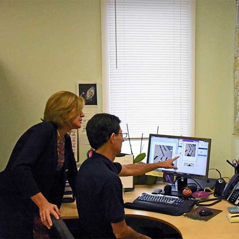 A man and a woman discuss work at a desk with a computer, pointing at images on the screen.