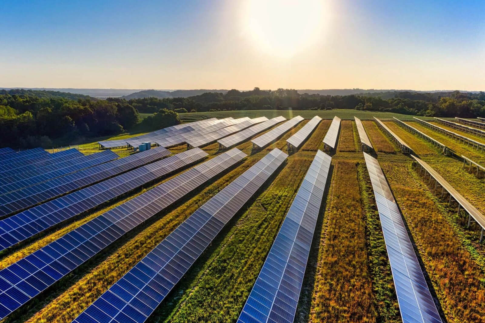 Rwe Projects Sunflower Projects | RWE In The Americas