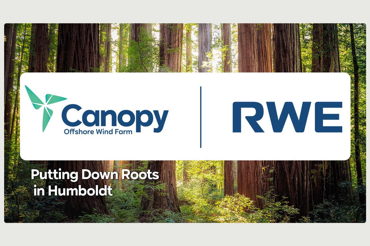 Canopy Offshore Wind Farm and RWE logos with a forest background, featuring tall trees and sunlight filtering through.
