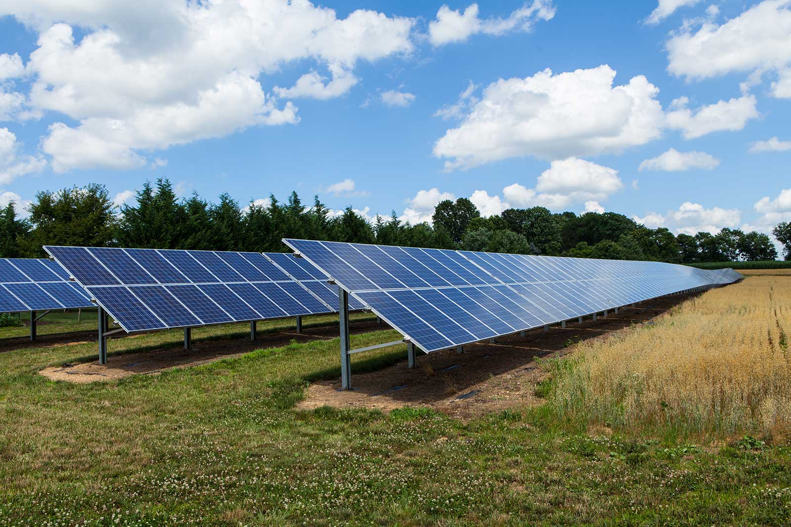 A solar panel farm with rows of blue panels under a partly cloudy sky, surrounded by green grass and a field of golden wheat.