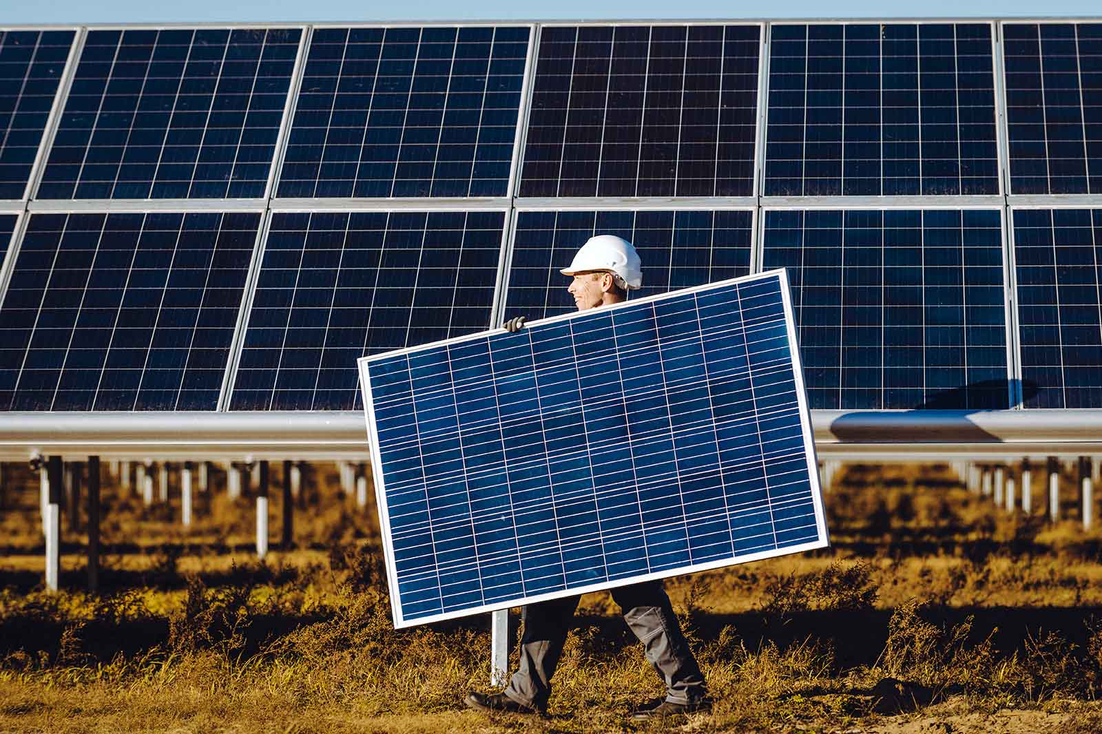 A person in work attire carries a solar panel in a field of solar panels under a clear blue sky.