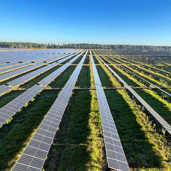 A vast solar panel farm with rows of solar panels on a grassy field under a clear blue sky.