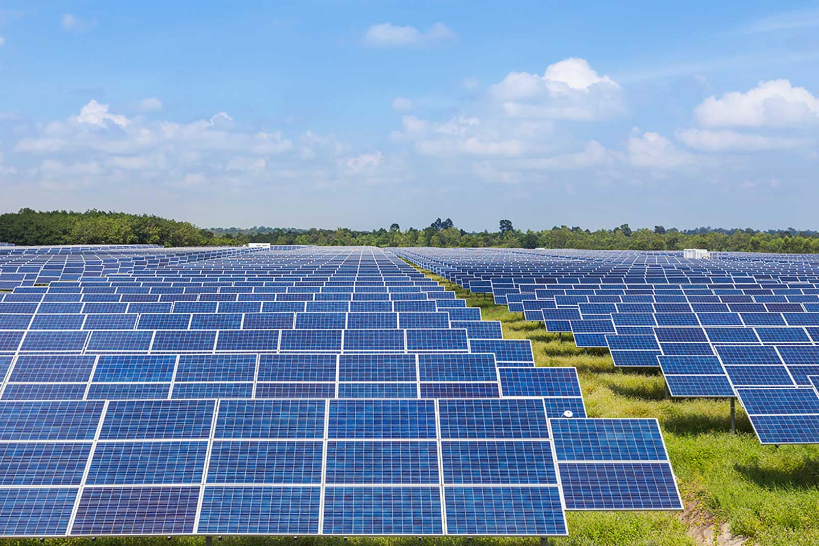 A vast solar panel field under a bright blue sky, with rows of solar panels reflecting sunlight in a green landscape.