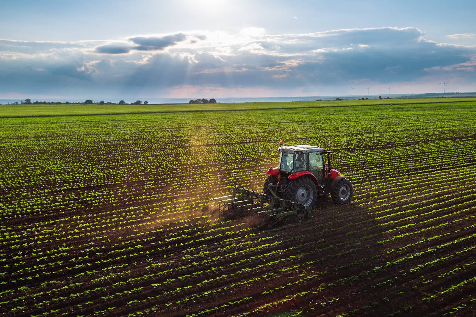 A red tractor ploughs a lush green field under a bright sky with scattered clouds, showcasing the beauty of agriculture.