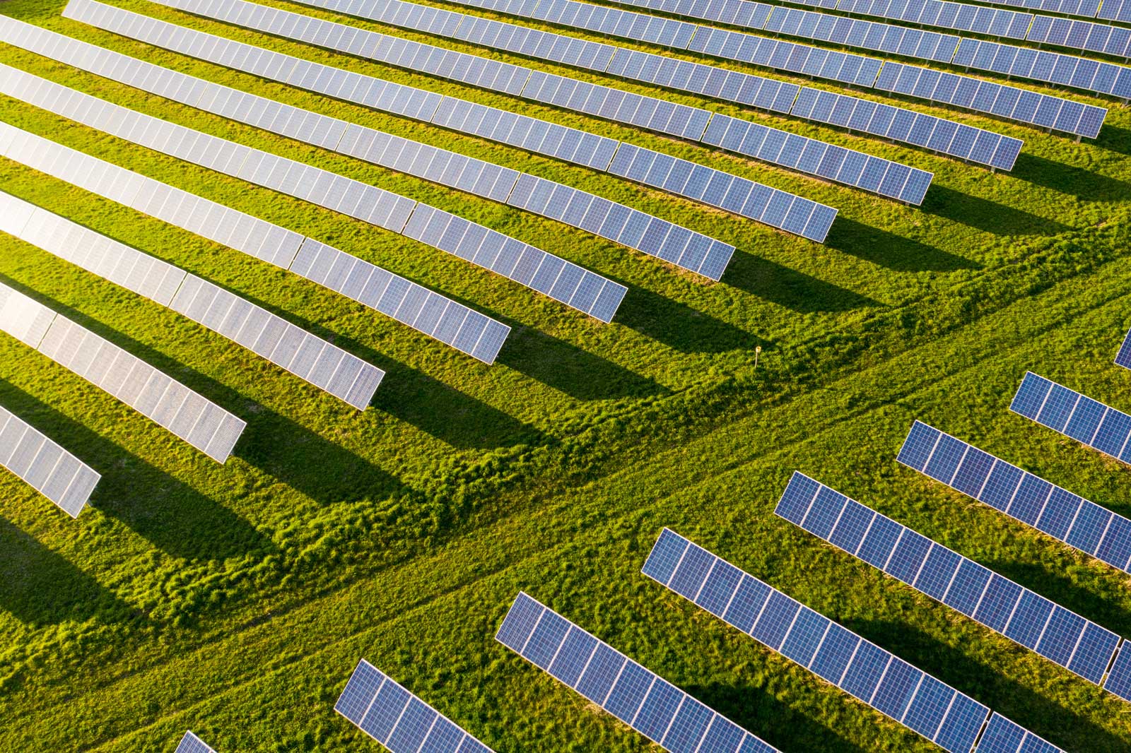 Aerial view of solar panels arranged in rows on vibrant green grass, casting long shadows in the sunlight.