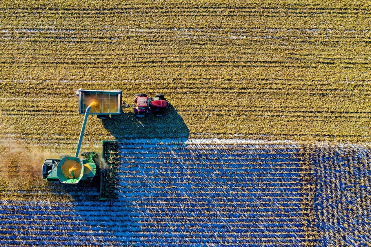 RWE Image