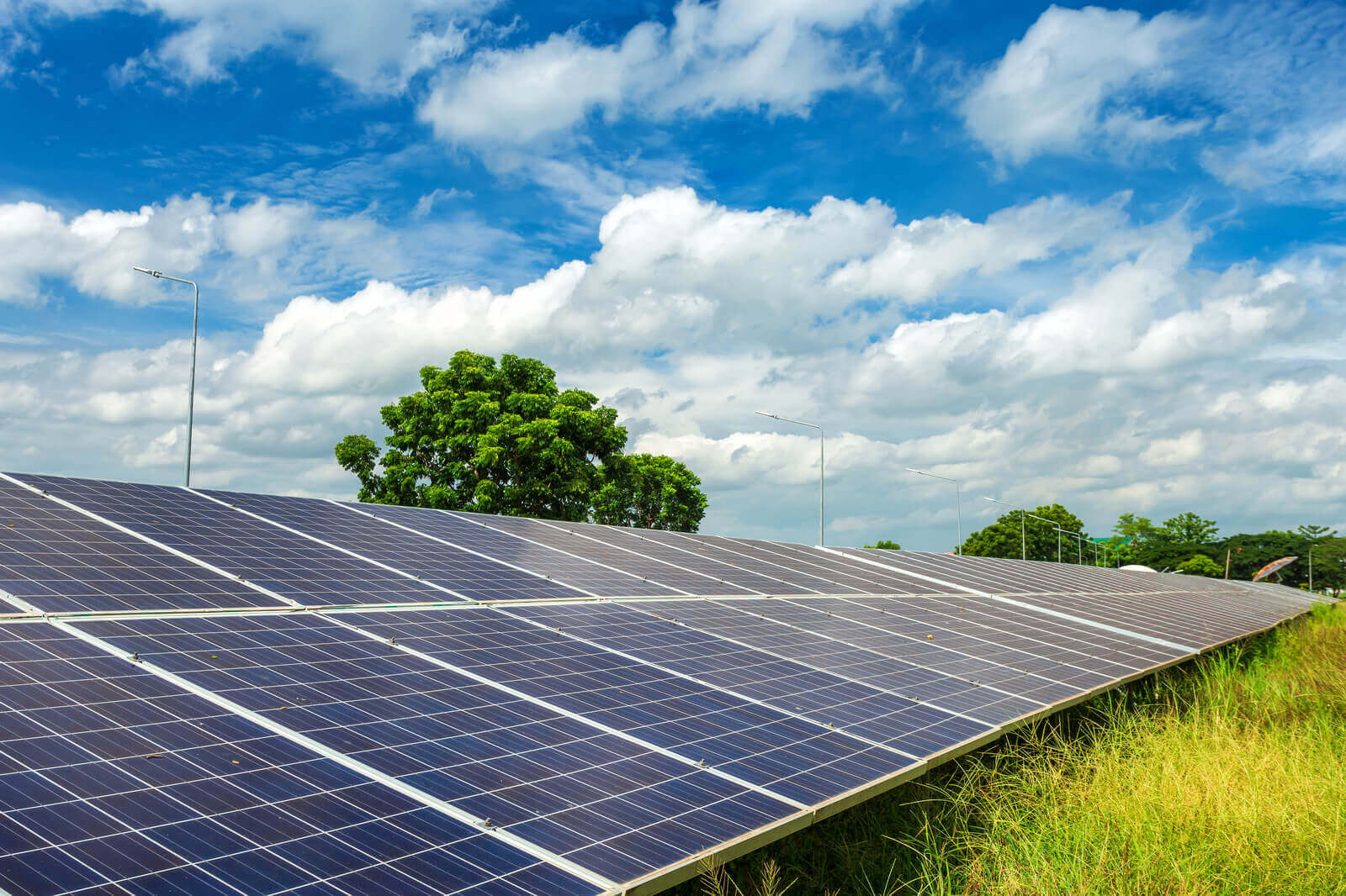 A solar panel field under a blue sky with scattered clouds and a green tree nearby.