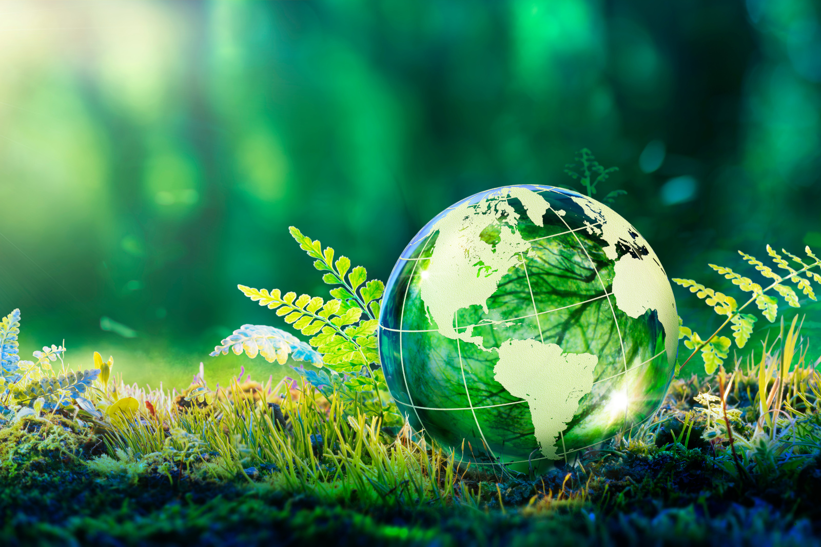 A green globe with continents, surrounded by ferns and grass, set in a vibrant, natural environment.