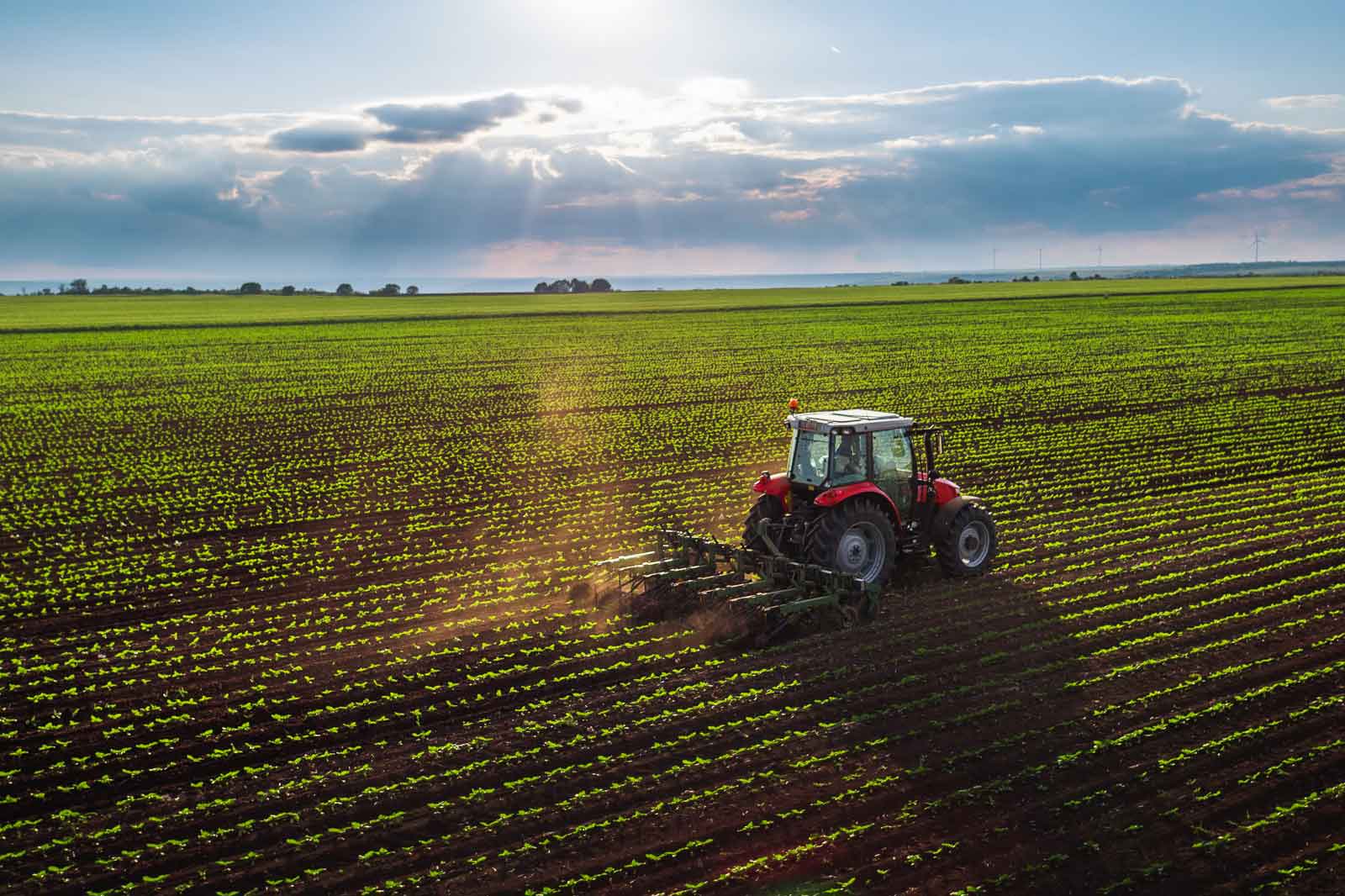 A red tractor ploughing a green field under a cloudy sky, with sunlight breaking through the clouds.