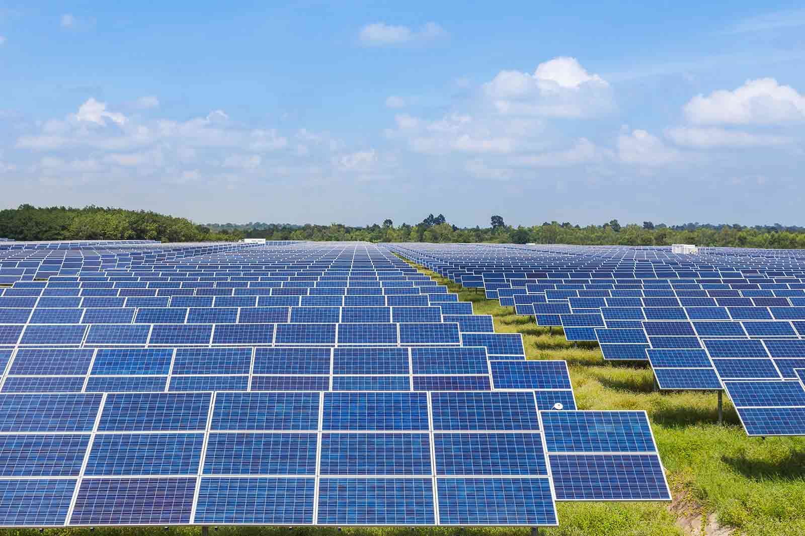 A vast solar farm featuring numerous solar panels aligned in rows under a bright blue sky.