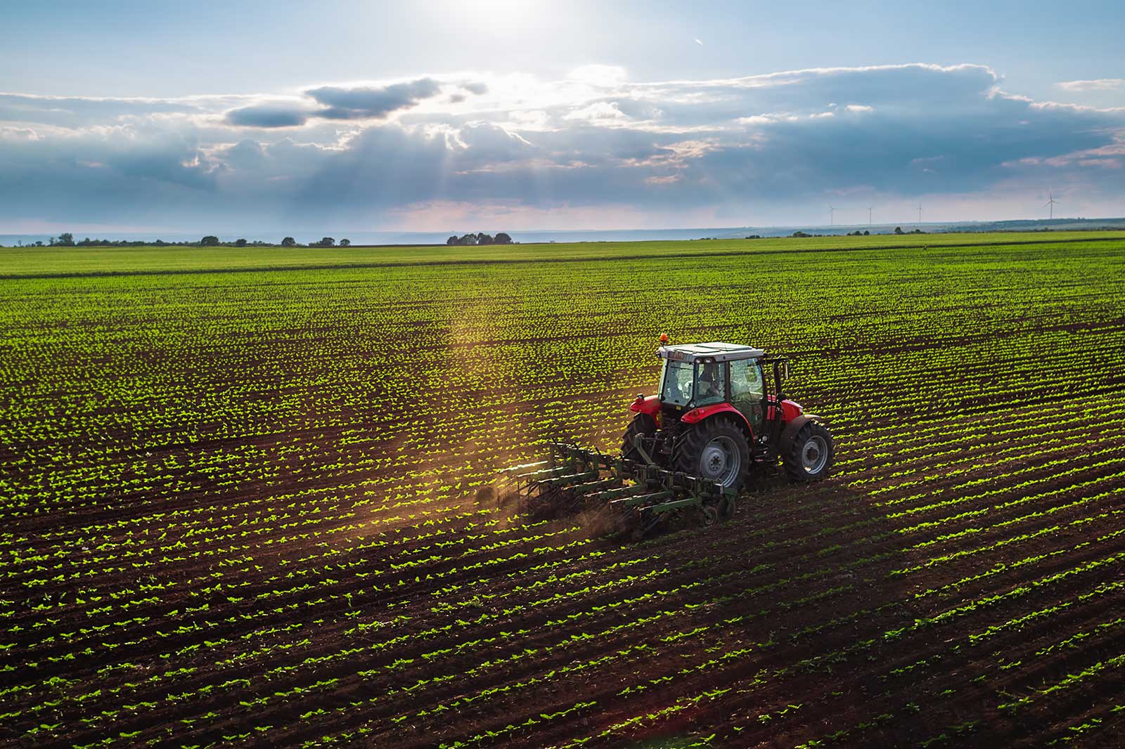 A red tractor ploughs a green field under a cloudy sky, with sunlight streaming through the clouds.