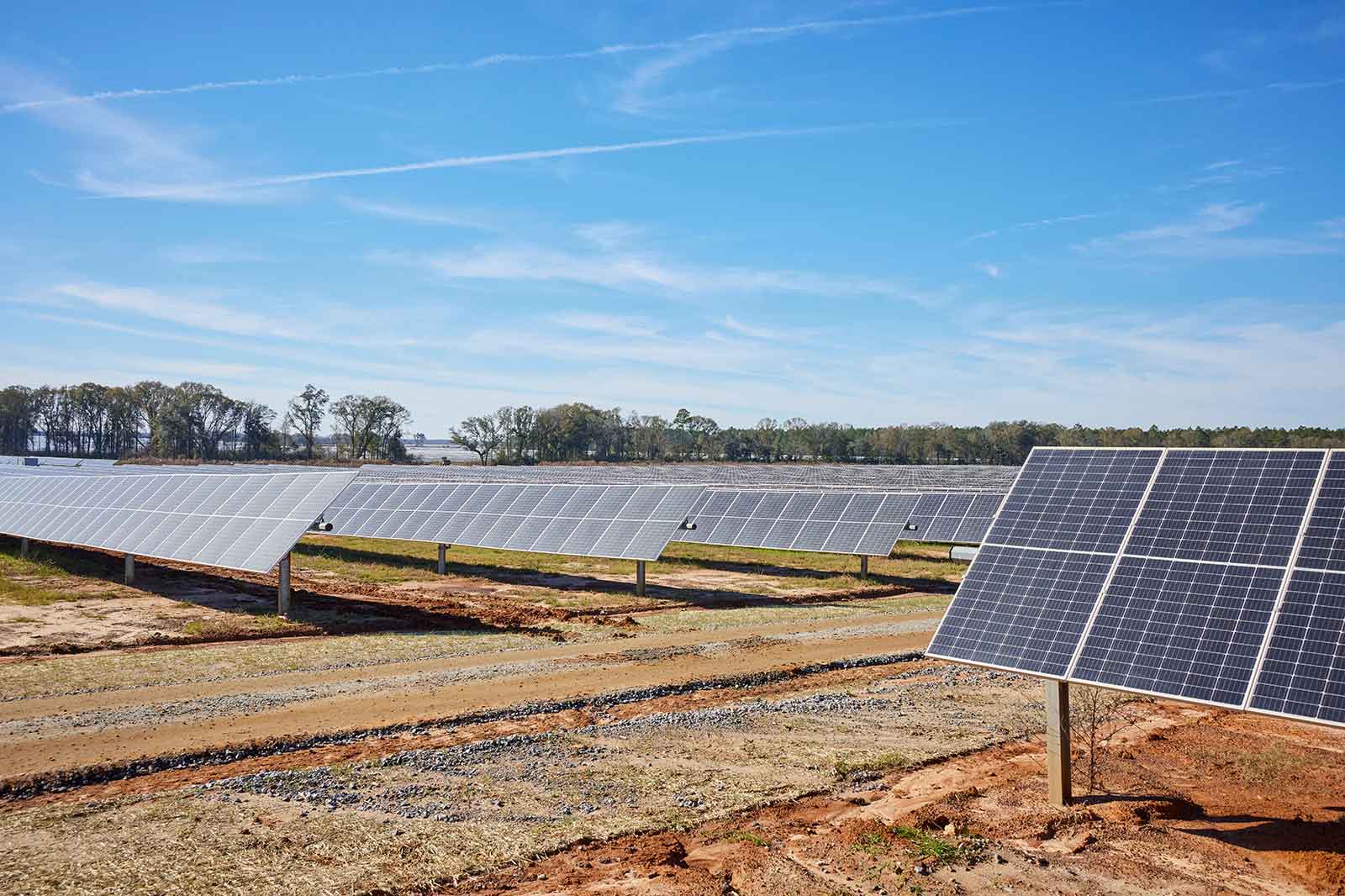 A solar farm with rows of solar panels under a clear blue sky, surrounded by grass and trees.