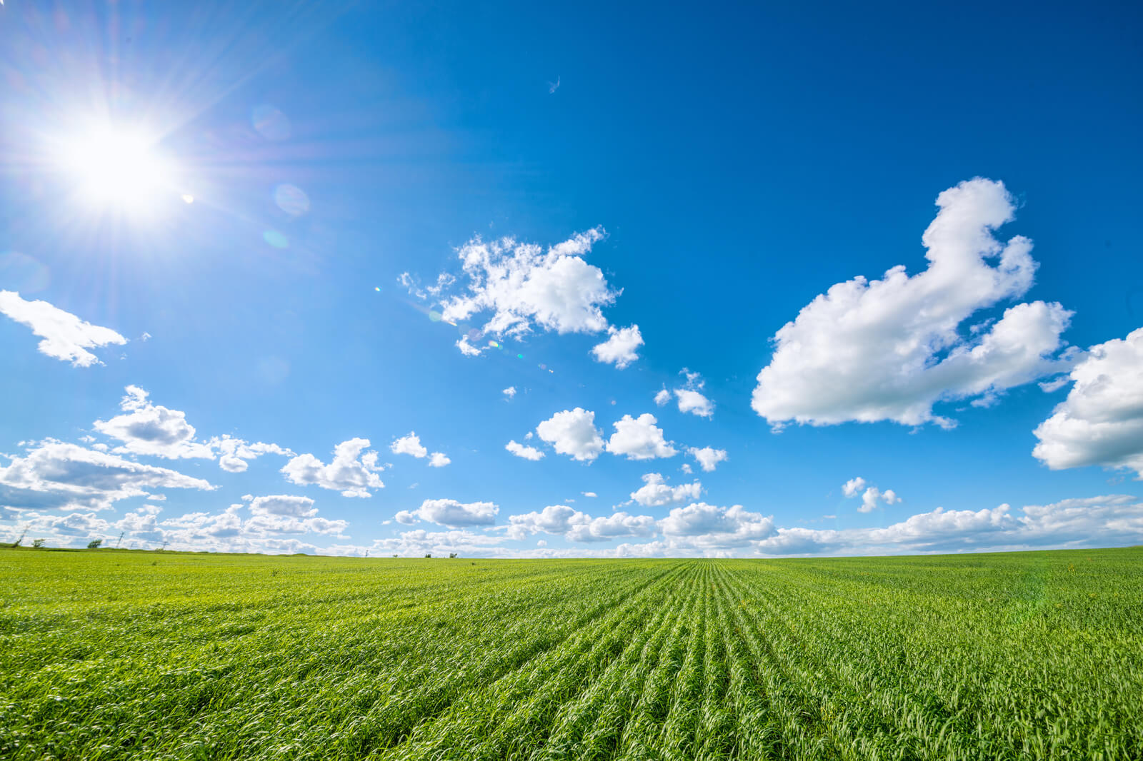 A sunny landscape featuring vibrant green fields under a clear blue sky, dotted with fluffy white clouds.