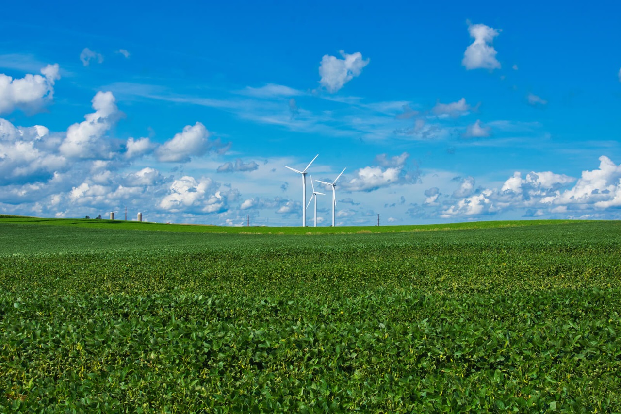 RWE Image