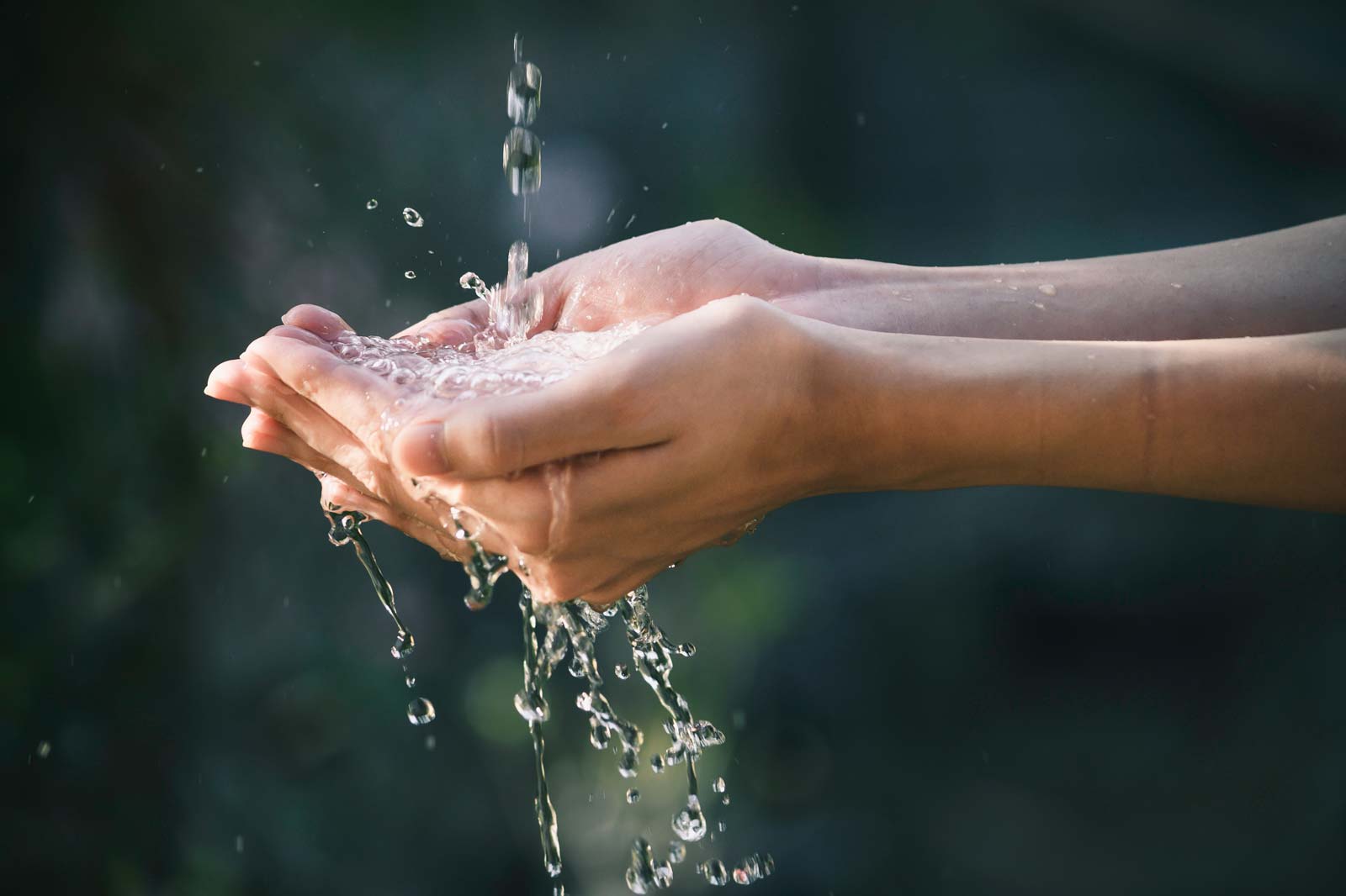 A close-up of hands cupping water, with droplets splashing around in a serene outdoor setting.