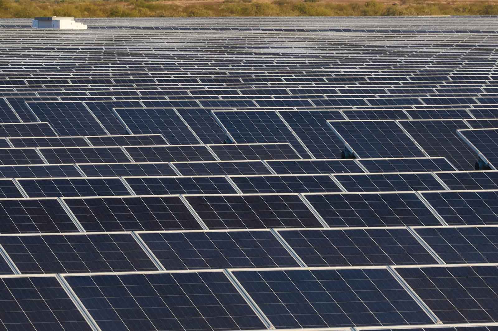 A vast field of solar panels arranged in neat rows under a clear sky, capturing sunlight for renewable energy.