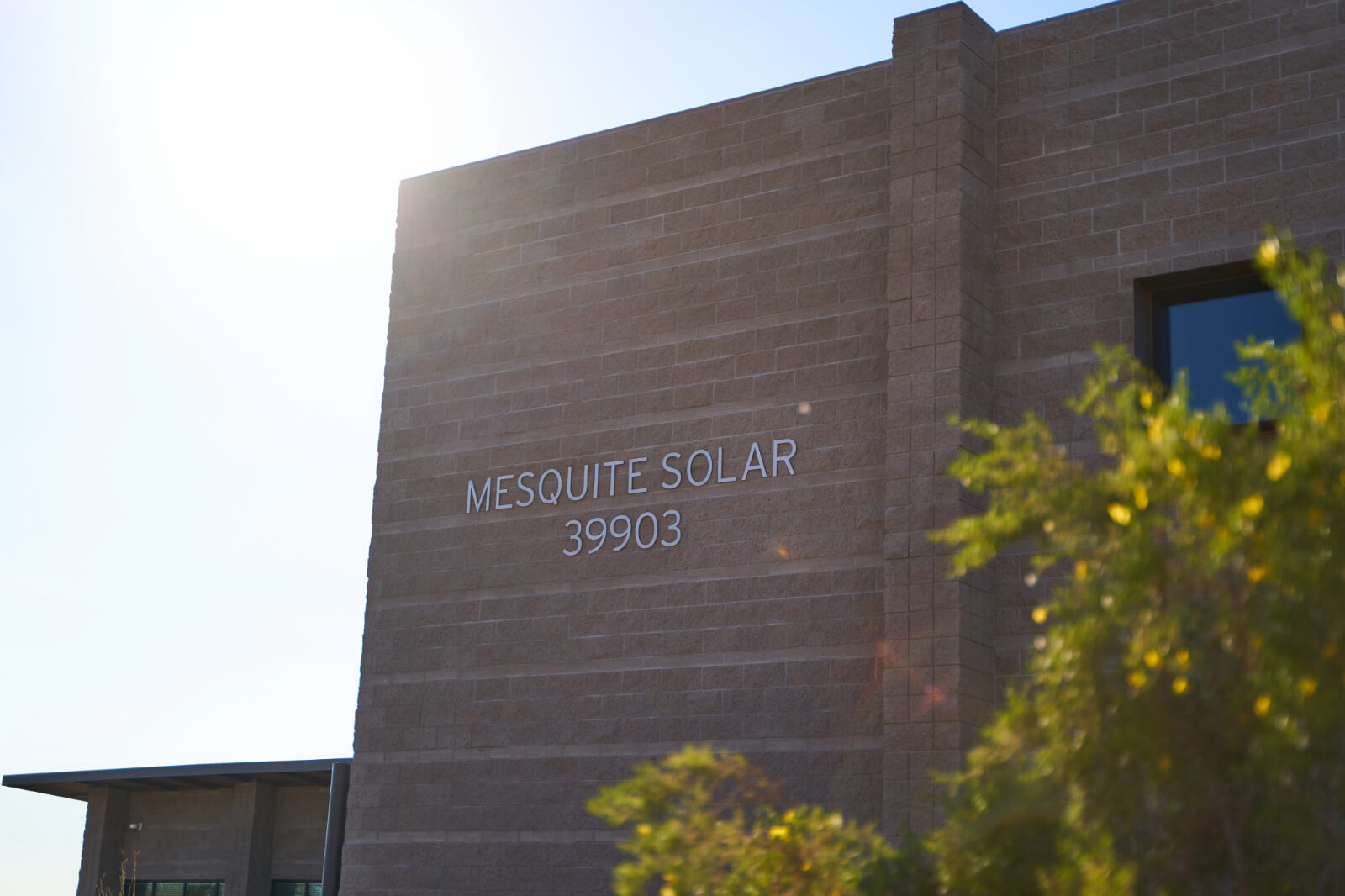 A close-up of the Mesquite Solar building sign with sunlight glare in the background, indicating its location and name.
