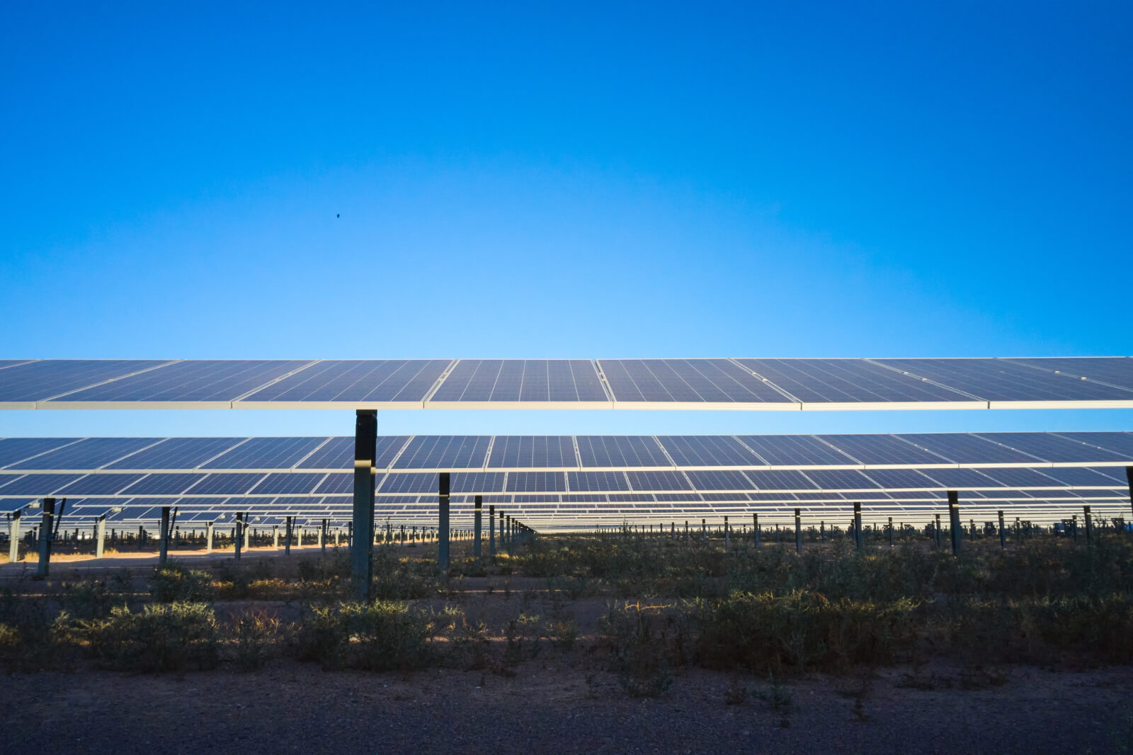 A solar panel farm under a clear blue sky with rows of photovoltaic panels and low vegetation in the foreground.