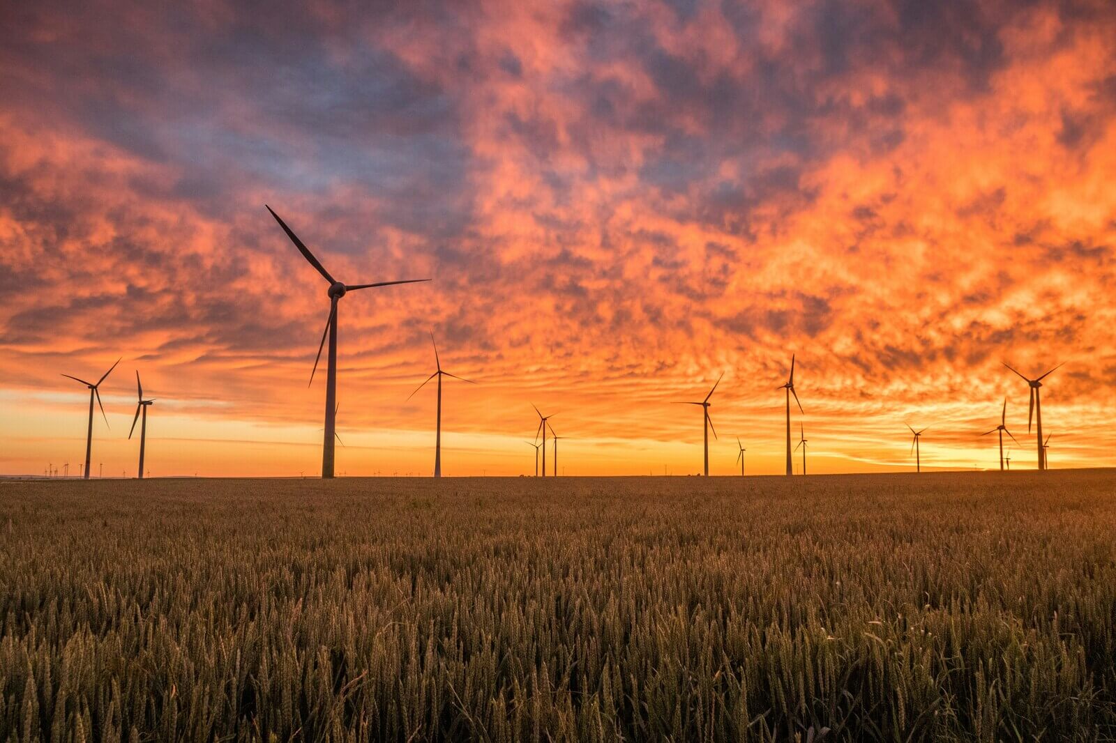 A scenic view of wind turbines silhouetted against a vibrant orange and purple sunset, with golden wheat fields in the foreground.