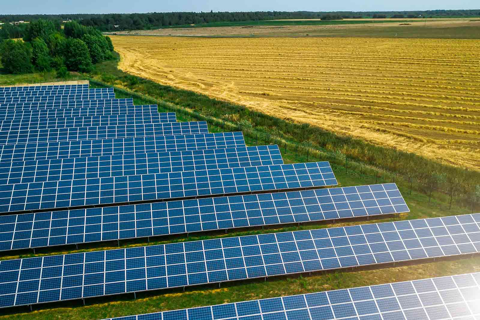 Aerial view of solar panels in a field, with green trees on the left and a harvested golden field on the right.