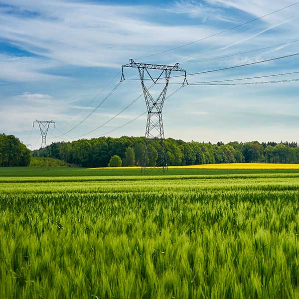 Green fields with power lines and trees under a clear blue sky. The landscape features rich vegetation and distant hills.
