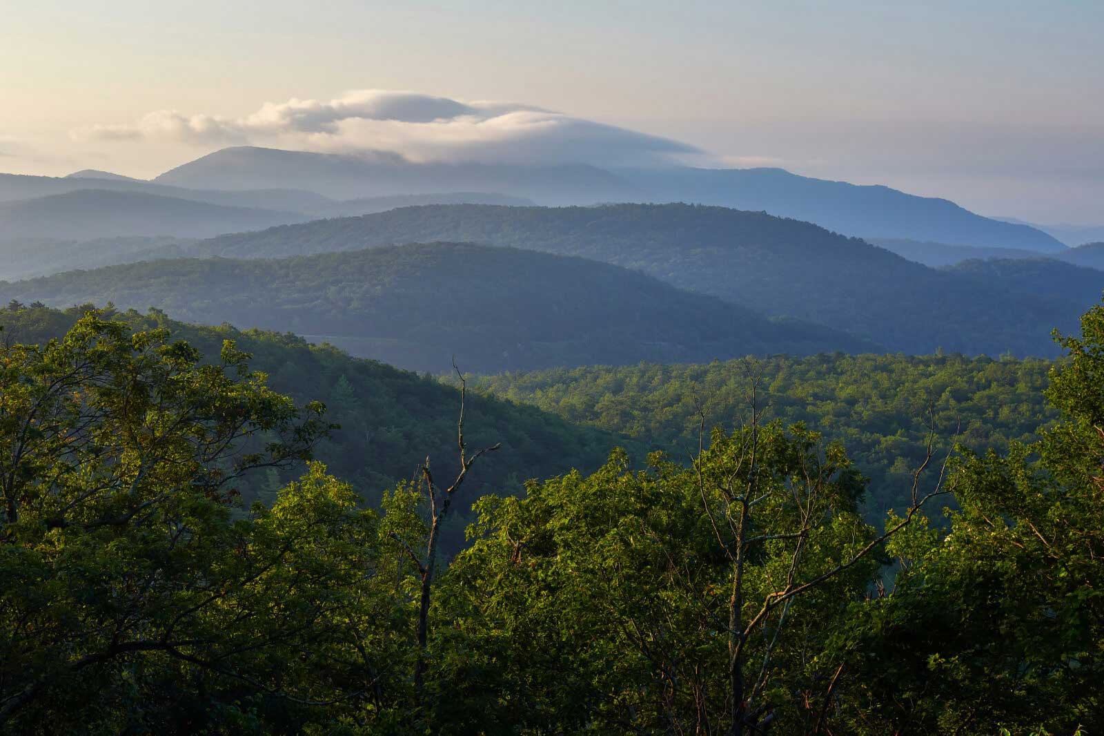 A serene landscape of rolling green mountains under a pastel sky with soft clouds, illuminated by morning light.