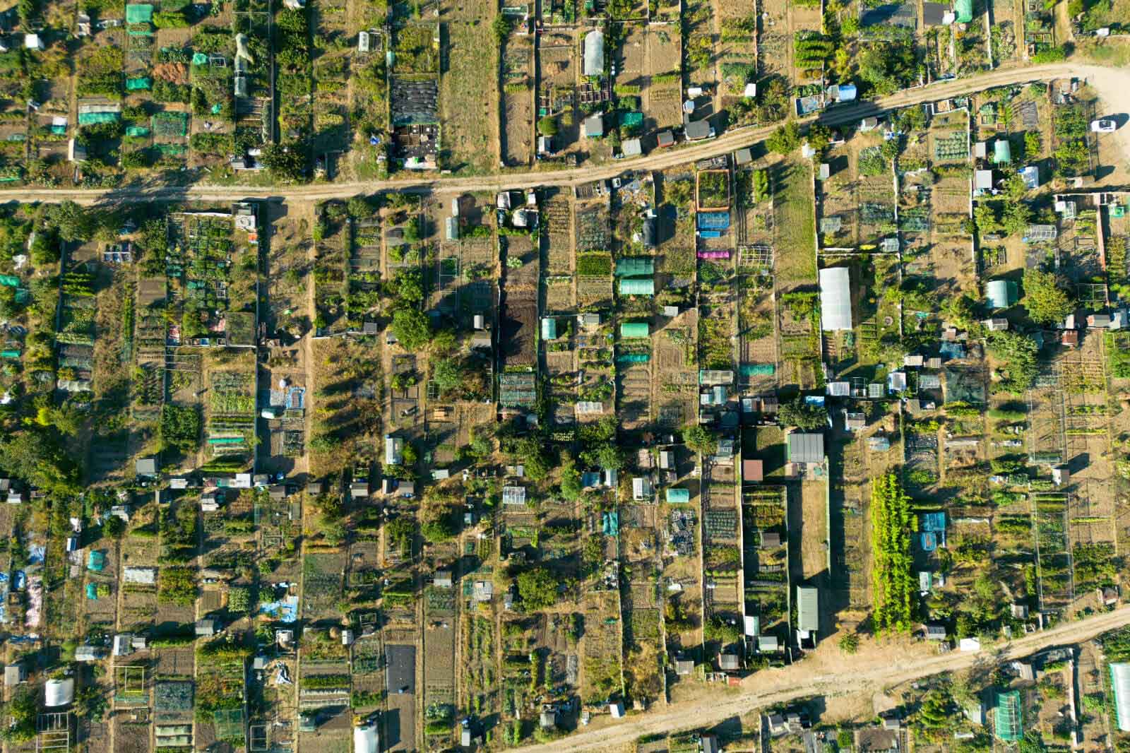 Aerial view of numerous garden plots with varied vegetation, divided by paths and surrounded by greenery.