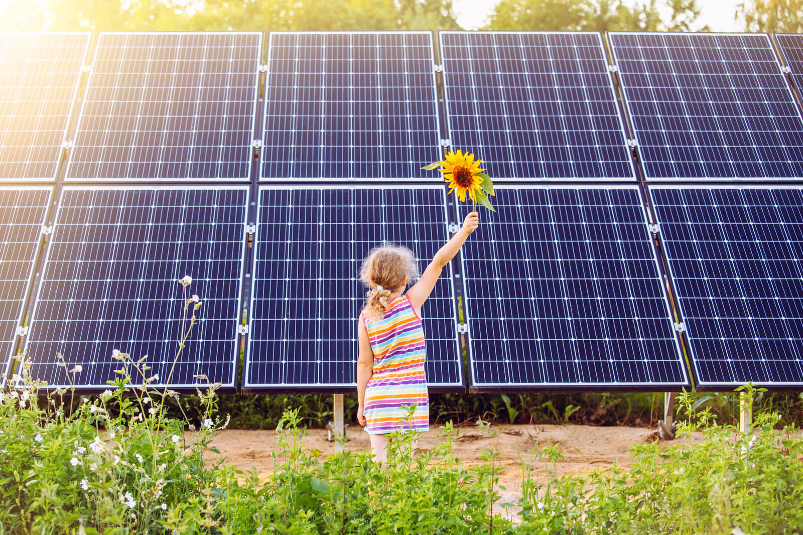 A young girl in a striped dress holds a sunflower in front of solar panels, symbolising renewable energy and nature.