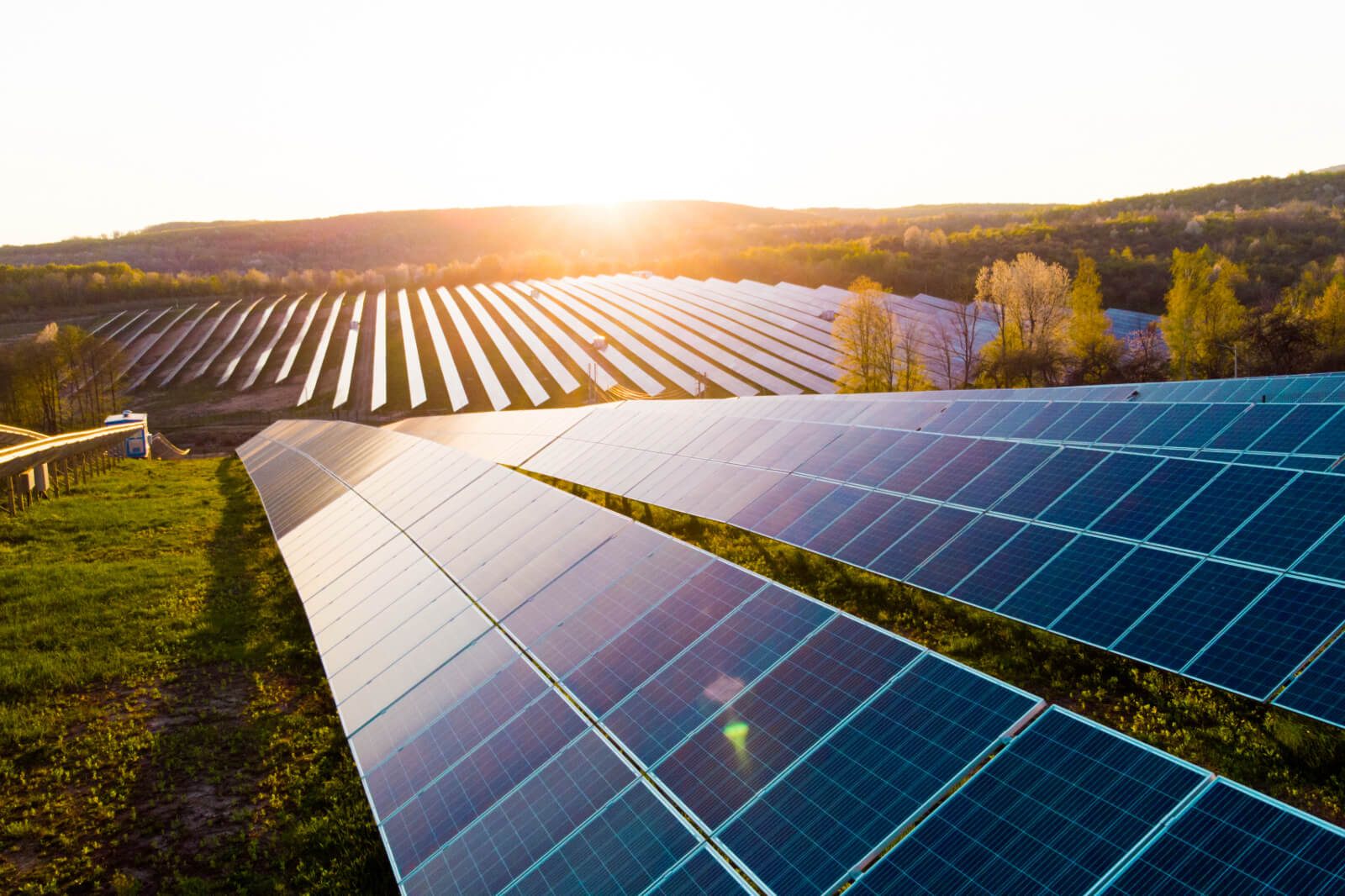 A solar farm with numerous solar panels arranged in rows under a bright sunset in a green landscape.
